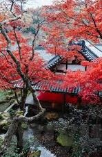2021果冻传媒剧情在线-2021年果冻传媒剧情在线，一场视觉与情感的盛宴