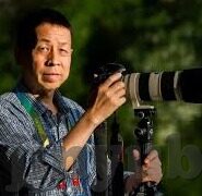 91麻豆香蕉视频-91麻豆香蕉视频——互联网文化的一个缩影