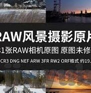 成人性欧美视频免费-成人性欧美视频免费，网络世界的灰色地带与个人选择