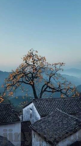麻豆台湾传媒app-麻豆台湾传媒APP——文化与娱乐交汇的独特风景