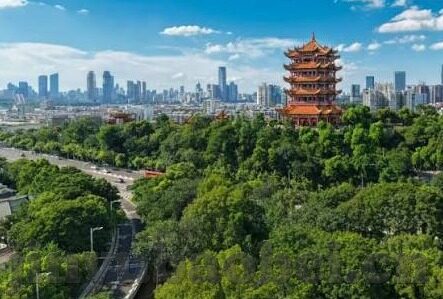 麻豆娱乐app-光泽背后下的数字乐园，麻豆娱乐APP的多元体验之旅