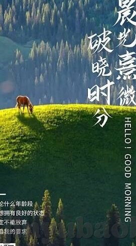 糖心app官网ios版-探索苹果平台娱乐新境界，糖心app的ios版体验报告
