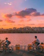 糖心app在哪下-在寻找甜蜜的邂逅，糖心APP的下载指南